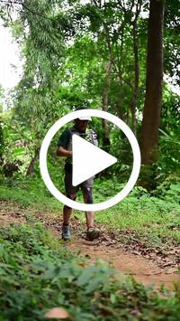 BIB:  <button type="button" onclick="openModal(26824079)" class="btn btn-primary btn-sm float-right" data-toggle="modal" data-target=".modal-high-quality">
                <i class="fa fa-download"></i> Download
                </button>